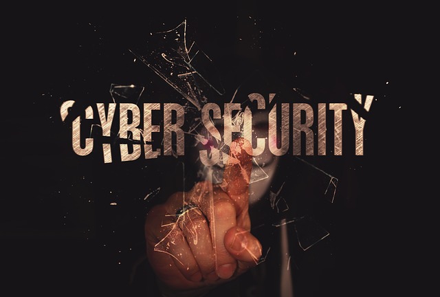 Hati-hati, Lindungi Dompet Digital Dari Kejahatan Siber