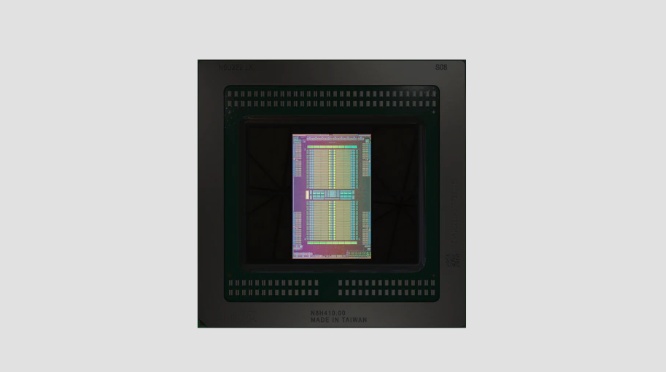 AMD Radeon Pro W6600X