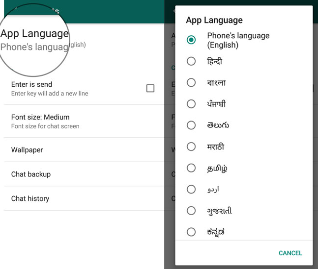 Fitur Terbaru WhatsApp App Language
